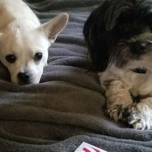 Meet your Posher, Debbie